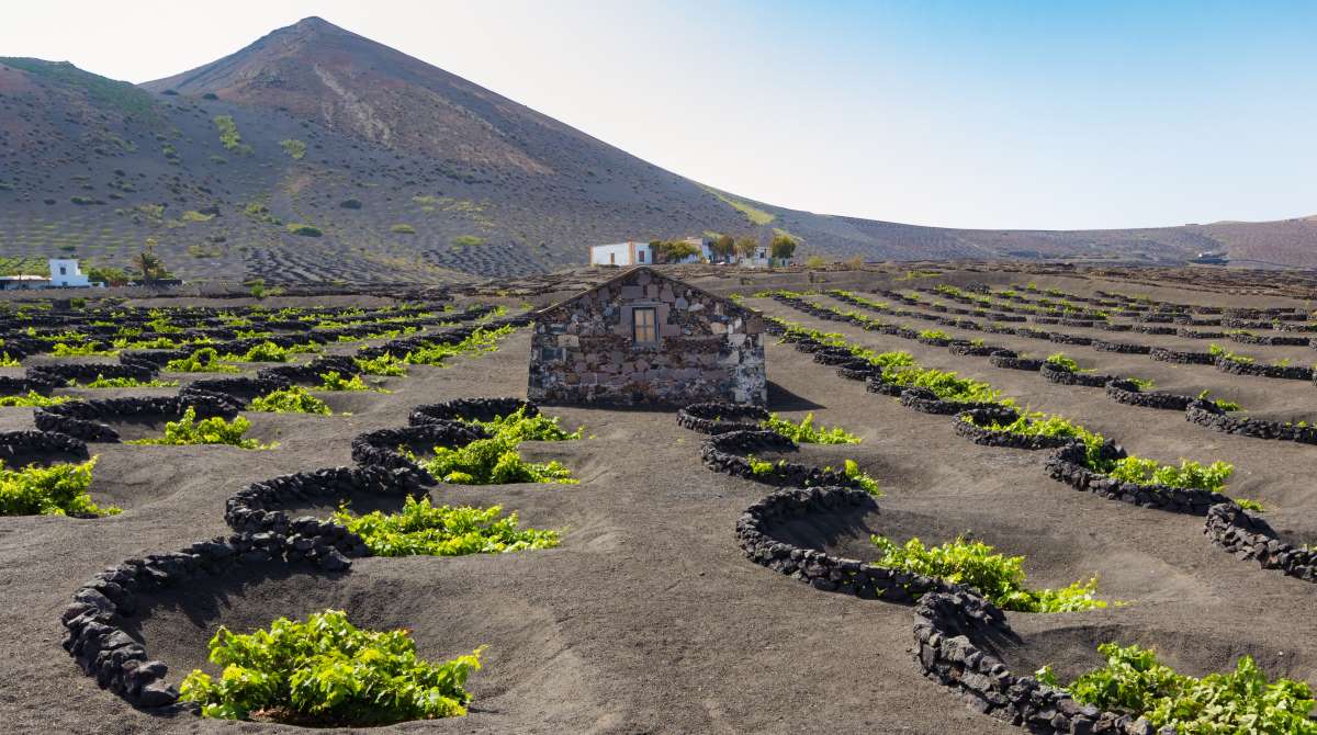 Los Imprescindibles De Lanzarote En D As Lanzarote